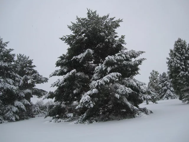 Denver snow 10-28-09