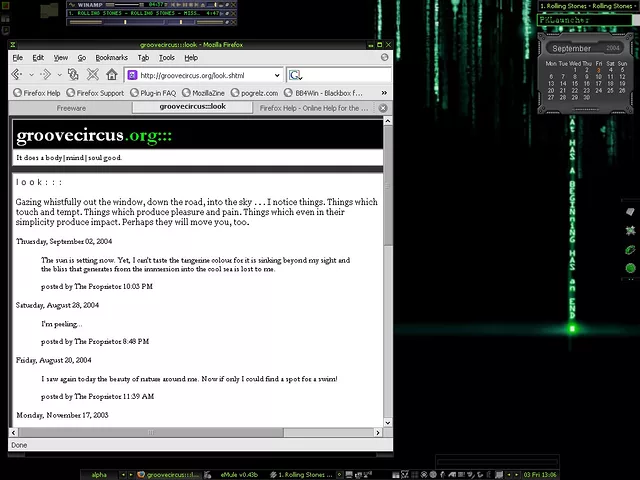 Back to Basics... in the Terminal