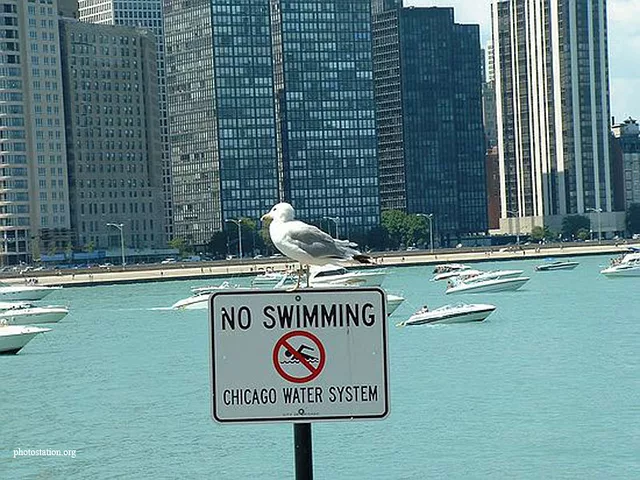 chicago