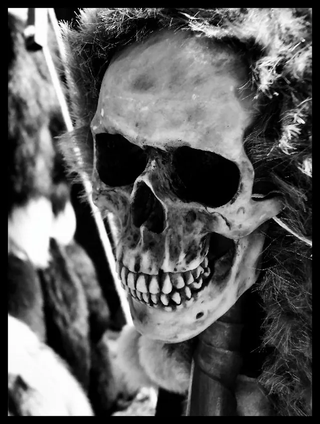 One Hell Of A Walking Stick