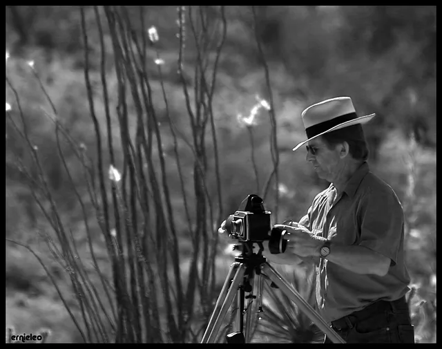 A Rare Find in the Desert