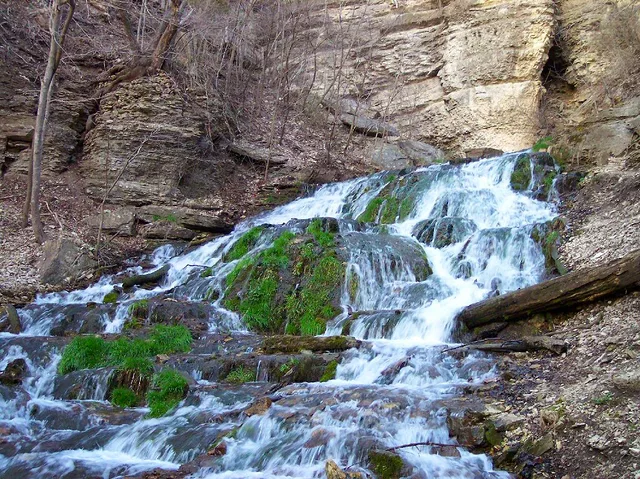 Dunning Springs Color