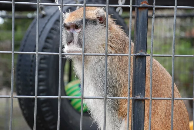 woke on the wrong side of bed