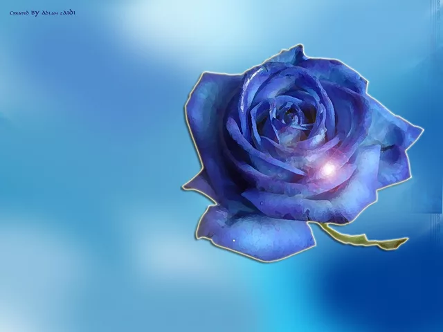 blue rose