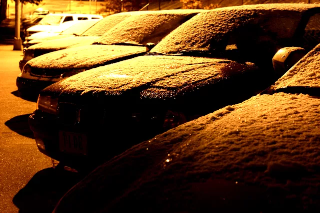 Snow on cars
