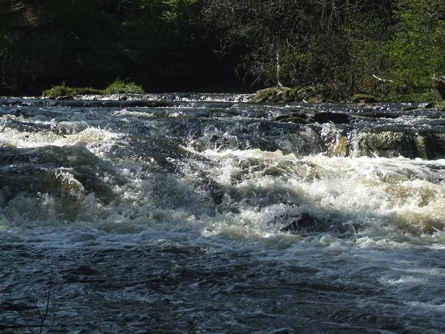 river side by Gregor Petrovic