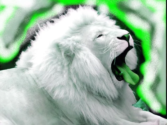 enviouse lion