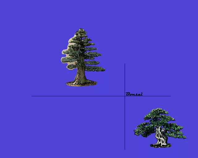 Bonsai