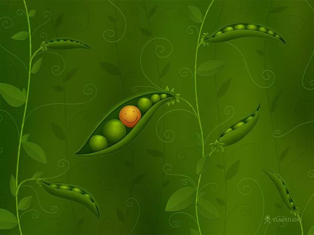 Where Smiles Are Born (Version 2009)