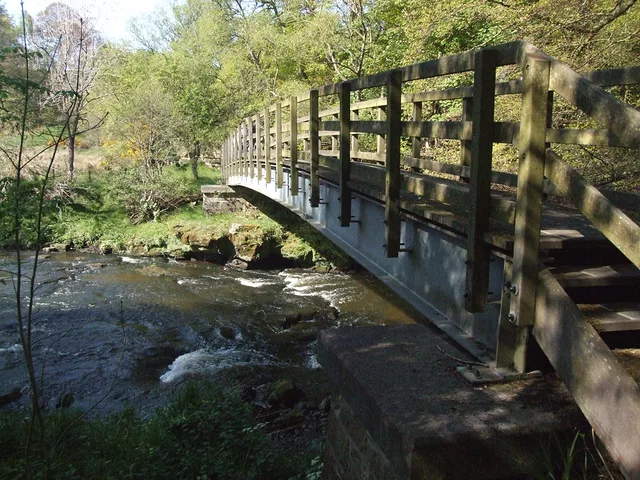 the bridge by Gregor Petrovic
