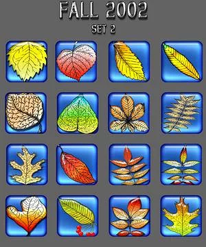 Fall Icon Collection 2