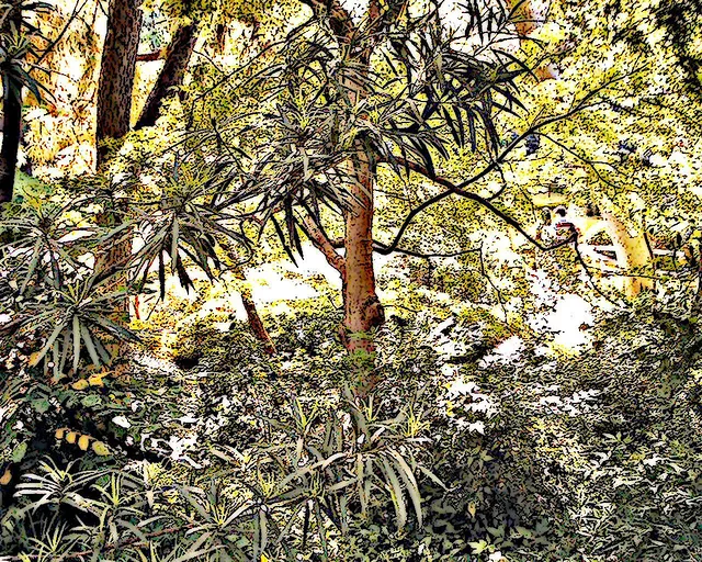 sundae comiX_the Park