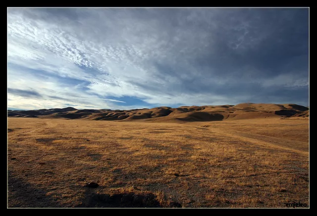 Wide Open Spaces III