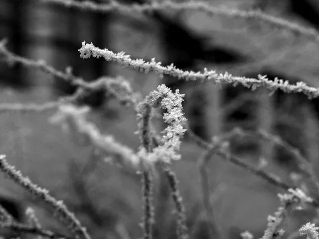 Ice Crystals