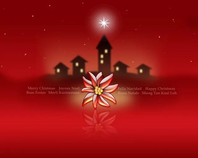 Xtal WP Part II -red-