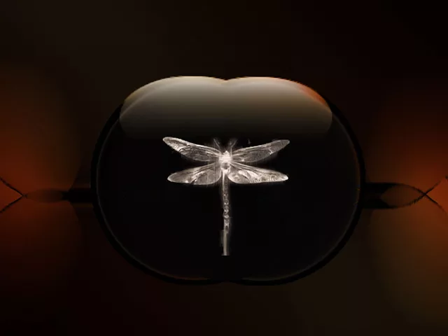 Dragonfly