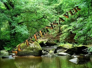 Green Kingdom (screensaver)