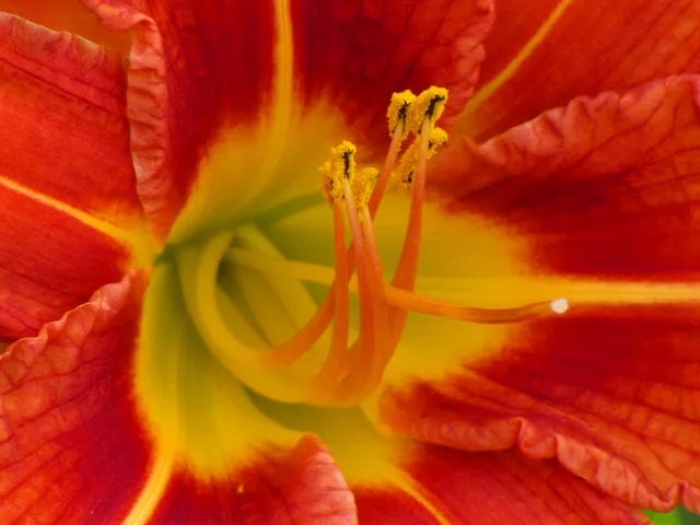 Up Close &amp; Personal