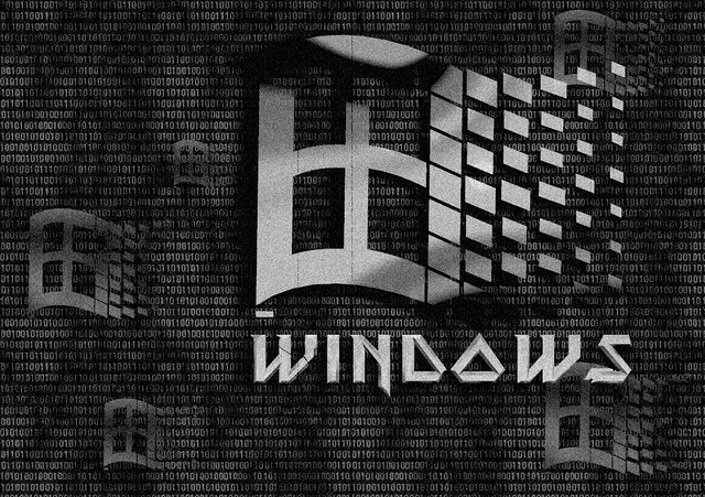 Black &amp; White XP