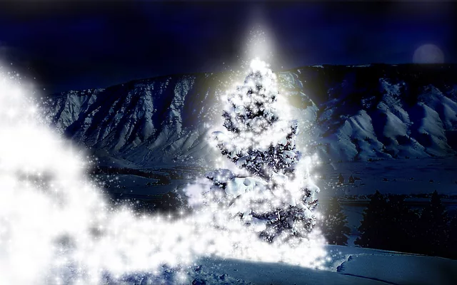 Winter tree with stars