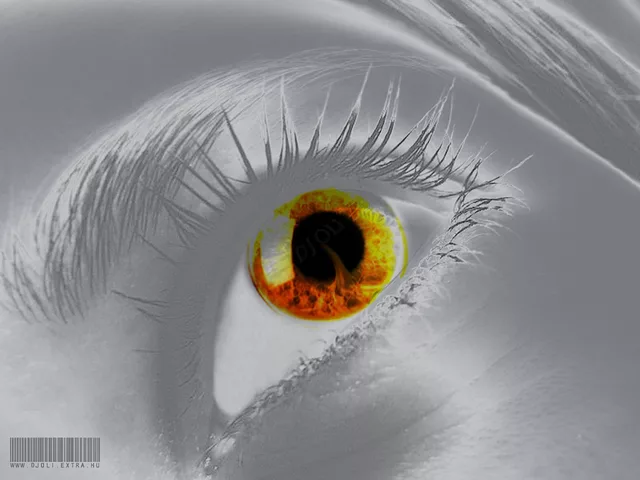 eye