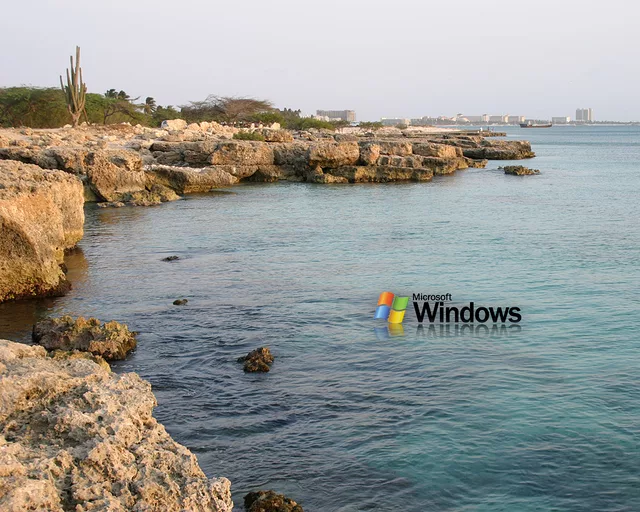 Windows Coastline