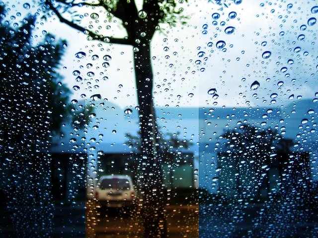 once in a while you see things