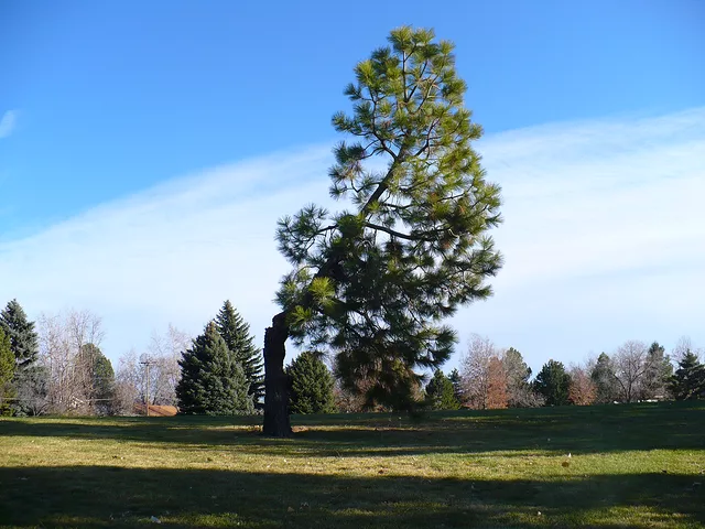 I&amp;acute;m still standin, yea, yea,yea