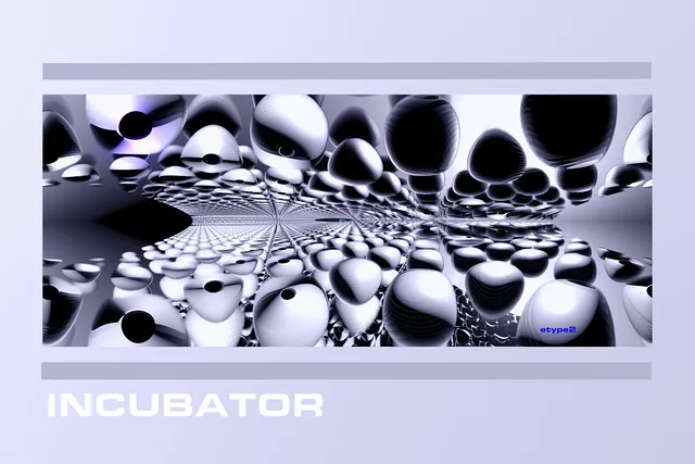 Incubator 2