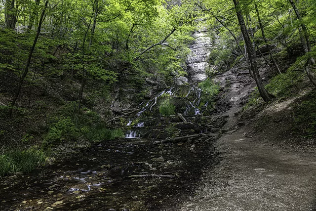 Dunning&amp;acute;s Springs 1