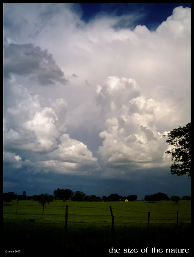 the size of the nature