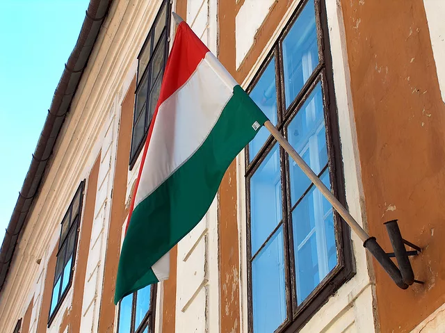 Hungarian Flag