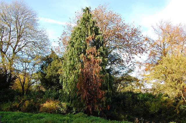 Struggle For Survival