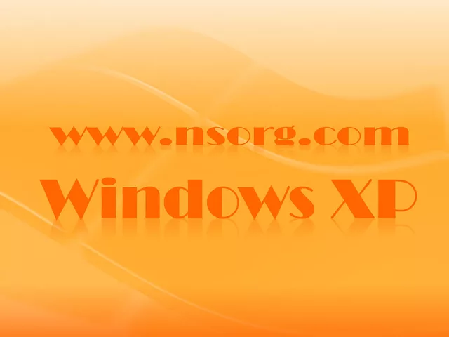 NSORG &amp; WINDOWS XP