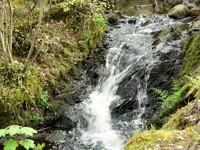 Stream in slow motion