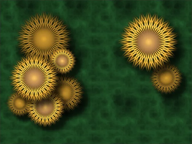 Sunflowers and Grass