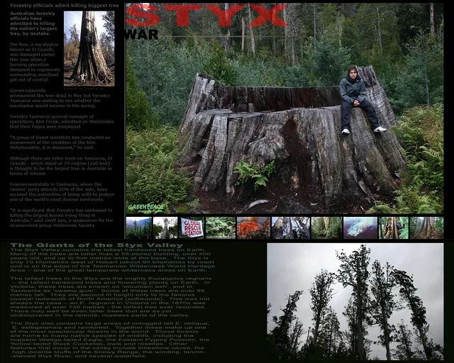 The Valley Of The Giants 1800