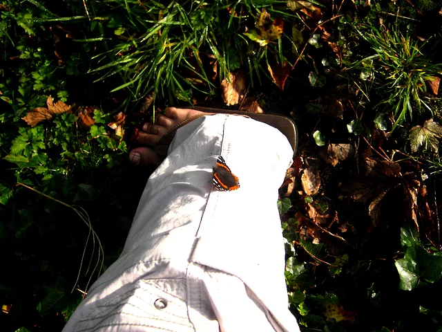 Sometime I Feel I Am Not Alone