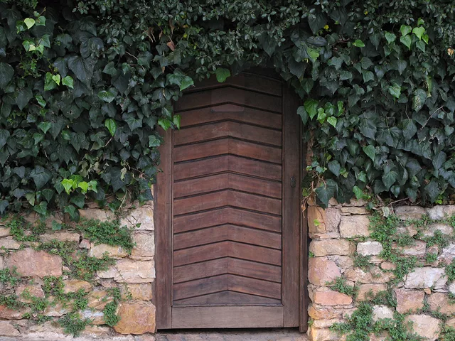 Enter the Secret Garden