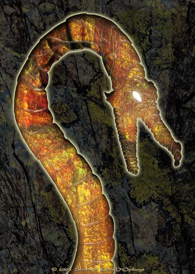 Tryptich of the dragon Ardhran : part two