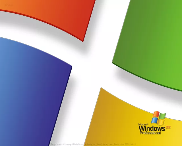 Windows SS Professional