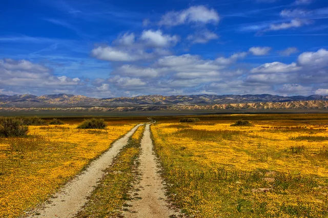 The Long and Winding Road V