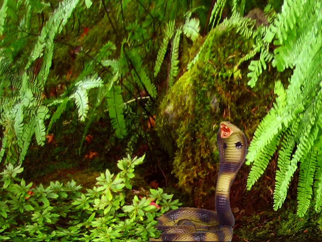 Run for your Life!!!