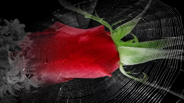 Spirit of Grandmother