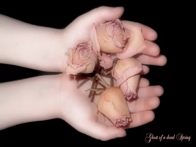 Ghost of a dead Spring