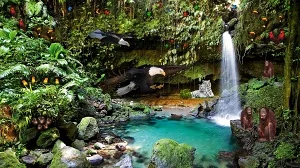 Jungle Zoo Playground Logon