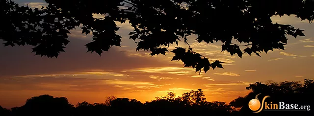 California Sunset Banner