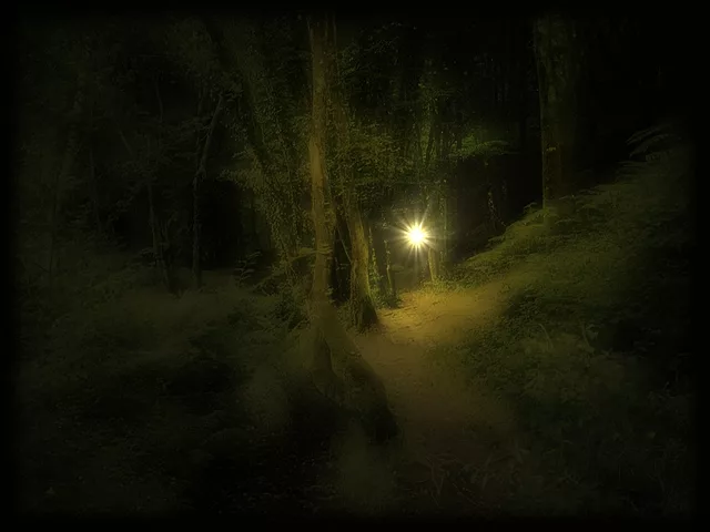 Magic in Broceliande