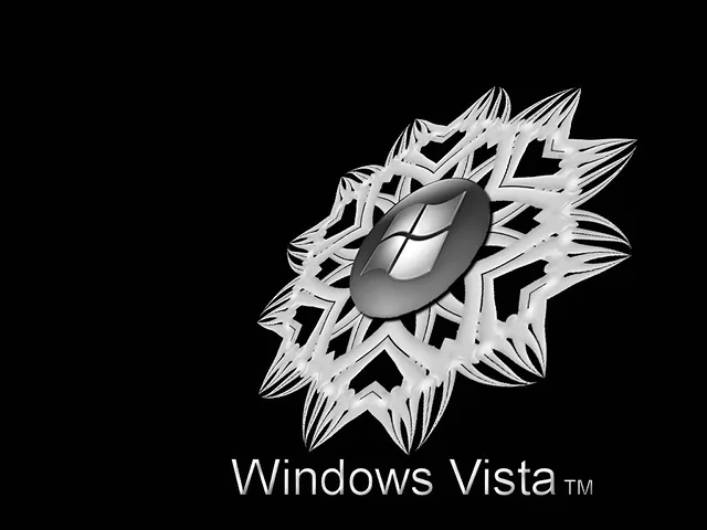 Vista 4