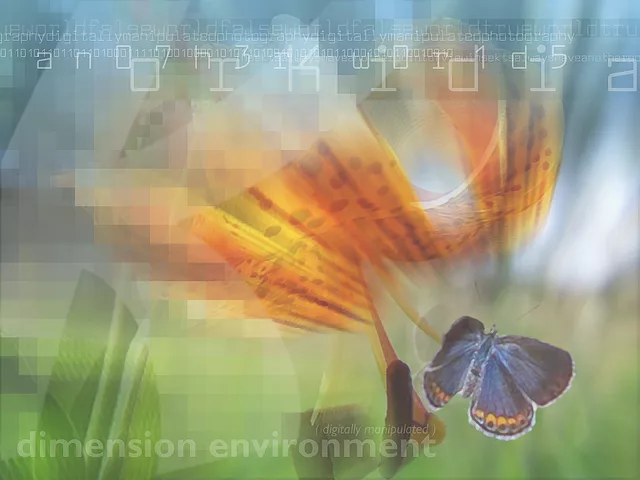 orKidia v3 (2nd edition)